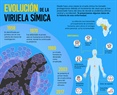 Evolución de la viruela símica a 2024