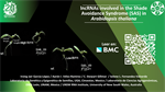 lncRNAs involved in the Shade AvoidanceSyndrome (SAS) in Arabidopsis thaliana