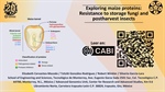 Exploring maize proteins: Resistance to storage fungi and postharvest insects
