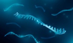 Identificación de miRNAs como potenciales biomarcadores para el adenocarcinoma ductal pancreático en pacientes mexicanos