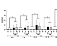 Effect of Mucuna pruriens seed extract on depression-like behavior derived from mild traumatic brain injury in rats