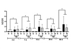 Effect of Mucuna pruriens seed extract on depression-like behavior derived from mild traumatic brain injury in rats