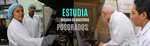 Posgrados