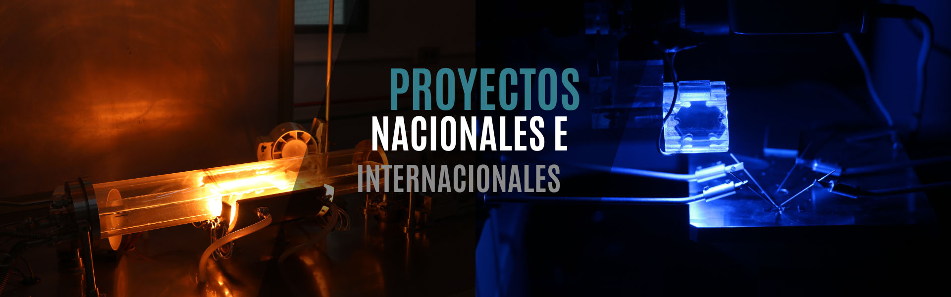 Proyectos