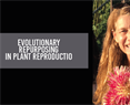 Seminario: Evolutionary repurposing in plant reproductio