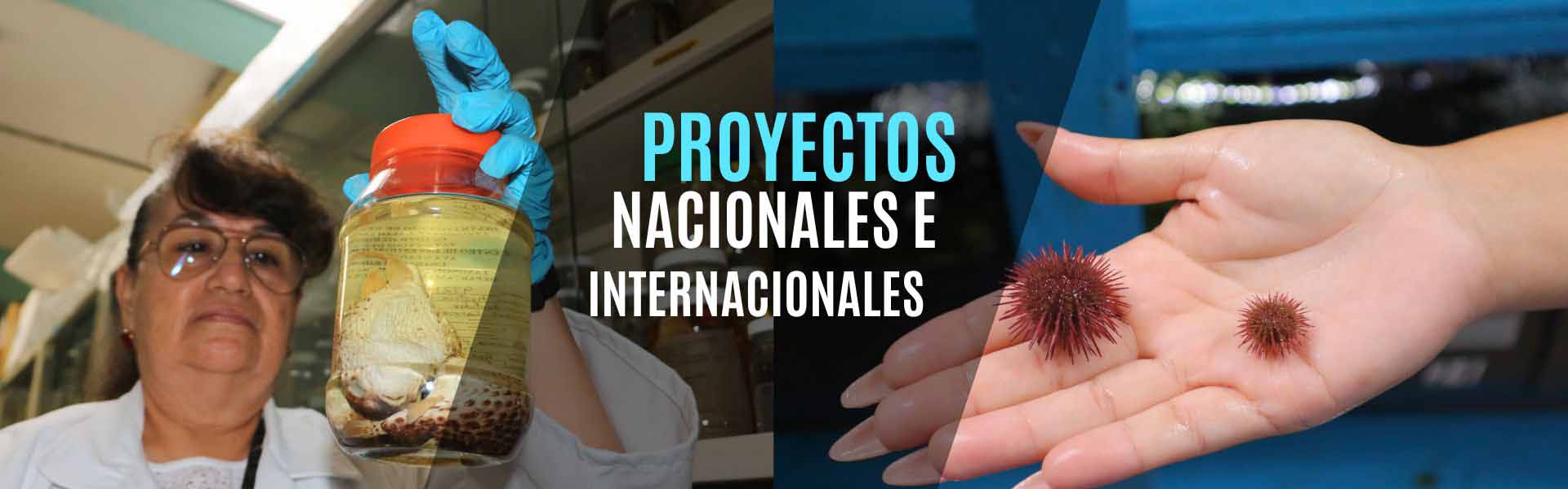 Banner-1920-Proyectos