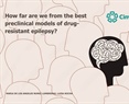 How far are we from the best preclinical models of drug-resistant epilepsy?