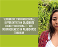 Seminario: Two orthogonal differentiation gradients locally coordinate fruit morphogenesis in Arabidopsis thaliana