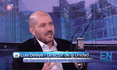 Entrevista al Dr. Luis José Delaye Arredondo