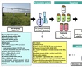 Control of inorganic and organic phosphorus molecules on microbial activity, and the stoichiometry of nutrient cycling in soils in an arid, agricultural ecosystem