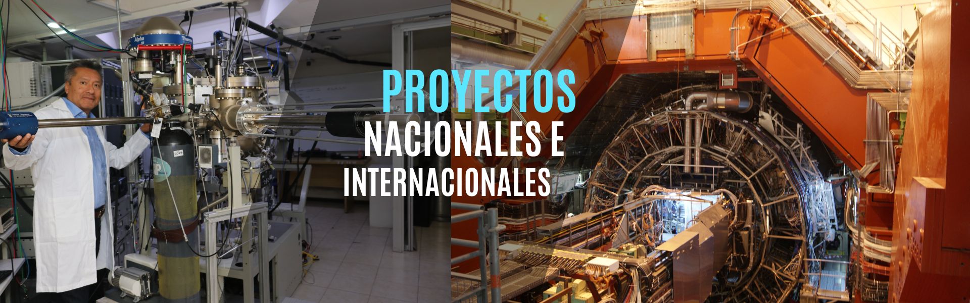 Proyectos