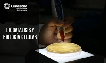 Biocatálisis y Biología Molecular