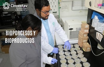 Bioprocesos y Bioproductos