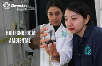 Biotecnología Ambiental