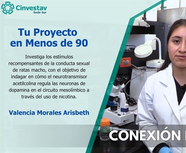 Tu proyecto en menos de 90