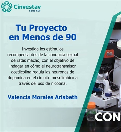 Tu proyecto en menos de 90