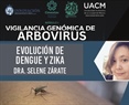 Evolución de Dengue y Zika