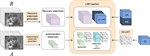 On a self-recovery digital watermarking scheme robust against spatial and temporal attacks on compressed video
