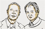 El Premio Nobel de Física 2024: imitando el comportamiento del cerebro humano