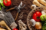 Microplásticos en el suelo: del campo a tu mesa