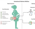 A Pilot Study on the Fecal Microbiota in Mexican Women with Gestational Diabetes Mellitus and Their Newborns