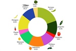 Biocontrol Activity of Bacillus altitudinis CH05 and Bacillus tropicus CH13 Isolated from Capsicum annuum L. Seeds against Fungal Strains