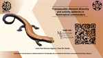 Transposable Element Diversity and Activity Patterns in Neotropical Salamanders