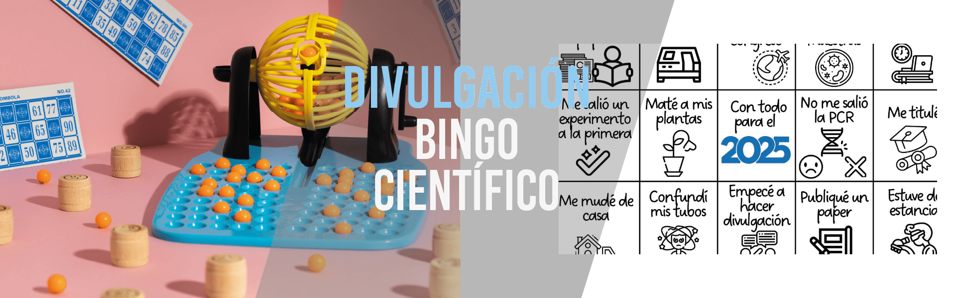 Bingo científico