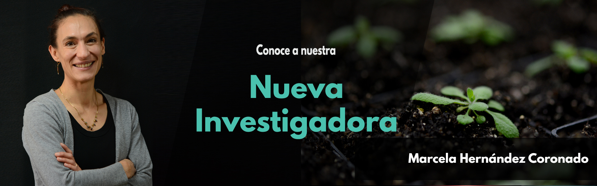 Nueva Investigadora