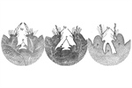 Are Cactus Spines Modified Leaves? Morphological and Anatomical Characterization of Saguaro Seedlings (Carnegiea gigantea) with Special Focus on Aerial Organ Primordia