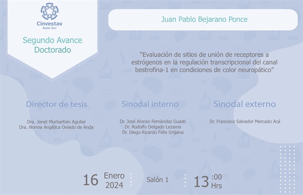 1er. Avance de Doctorado de Juan Pablo Bejarano Ponce