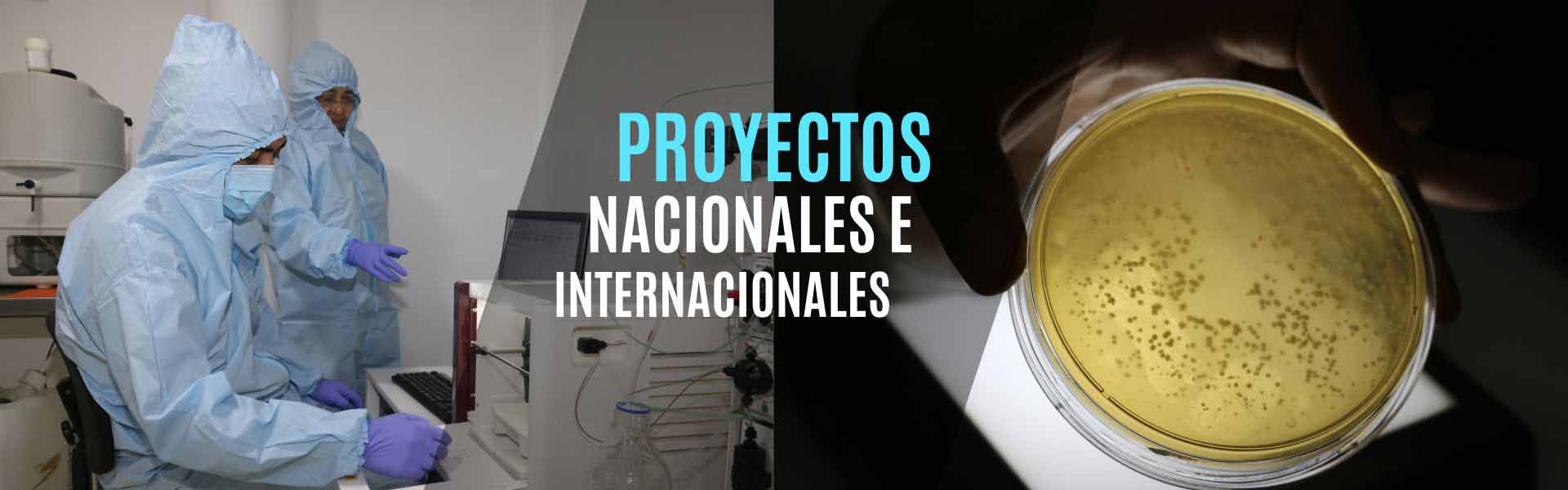 Banner-1920-Proyectos