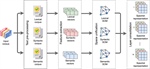 Spectrep: A software for spectral representation of text content