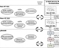 A memetic algorithm for improved joint route selection and split-level management in next-generation wireless communications