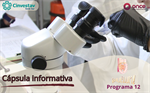 Cápsula informativa