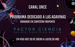 El futuro de los agaves