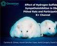 Effect of Hydrogen Sulfide on Sympathoinhibition in Obese Pithed Rats and Participation of K+ Channel