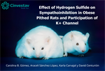 David Centurión Pacheco - Effect of Hydrogen Sulfide on Sympathoinhibition in Obese Pithed Rats and Participation of K+ Channel