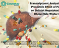 Transcriptomic Analysis of the Protective Effect of Piperine on Orlistat Hepatotoxicity in Obese Male Wistar Rats