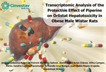 Guadalupe Bravo - Transcriptomic Analysis of the Protective Effect of Piperine on Orlistat Hepatotoxicity in Obese Male Wistar Rats