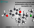 N-Palmitoylethanolamide enhances antinociceptive effect of tramadol in neuropathic rats