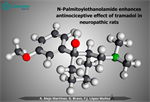 Francisco Javier López Muñoz - N-Palmitoylethanolamide enhances antinociceptive effect of tramadol in neuropathic rats