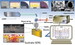 Los sustratos SERS: herramienta para la detección de biomarcadores