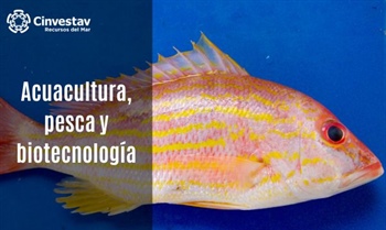 Acuacultura, pesca y biotecnología