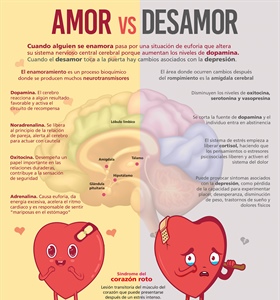 Amor vs desamor