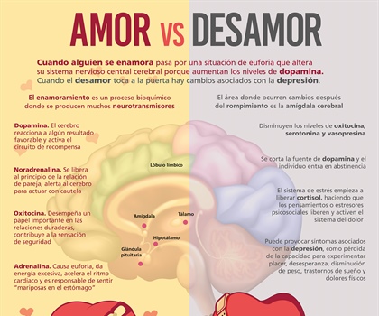 Amor vs desamor