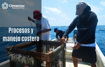 Procesos y manejo costero