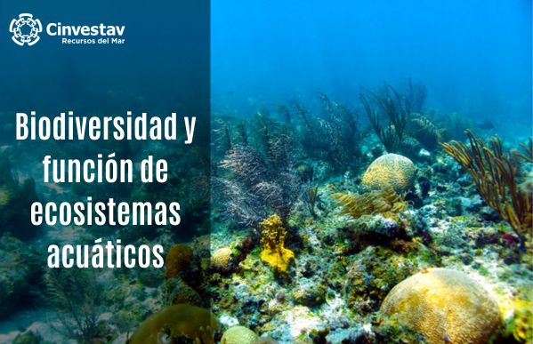 Biodiversidad y función de ecosistemas acuáticos