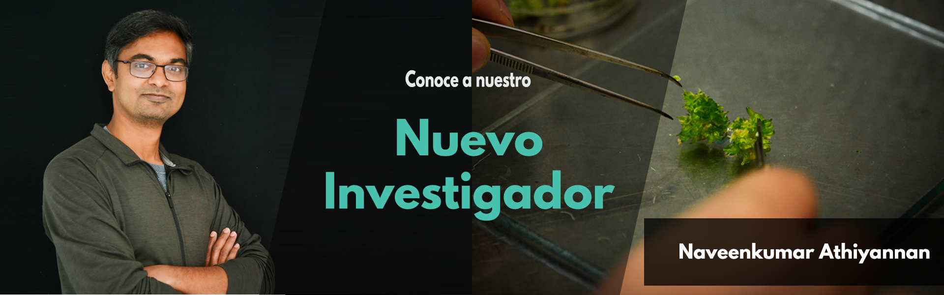 Nuevo Investigador