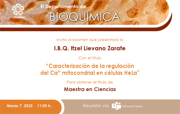 I.B.Q. Itzel Lievano Zarate